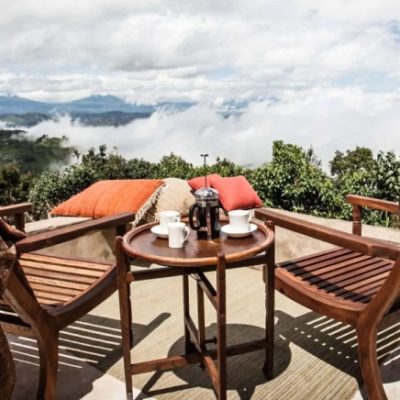 Luxury double gorilla trekking safari in Uganda's Bwindi and Mgahinga Parks