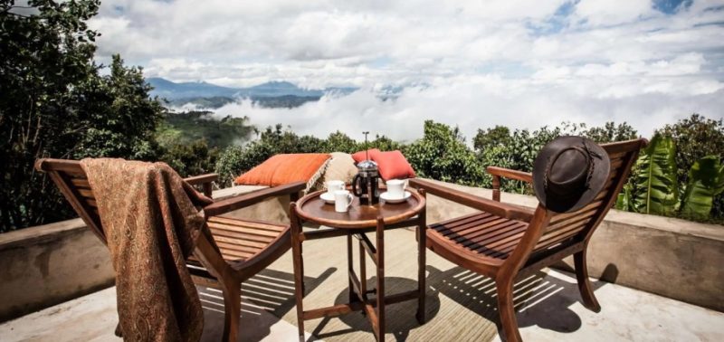 Luxury double gorilla trekking safari in Uganda's Bwindi and Mgahinga Parks