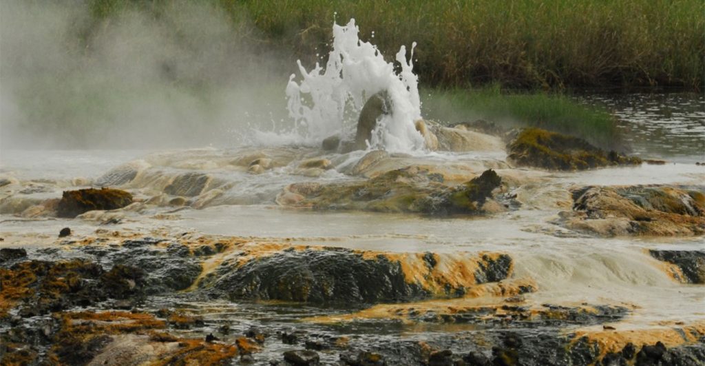 Tropical lowland forest and hot springs in Semliki National Park.