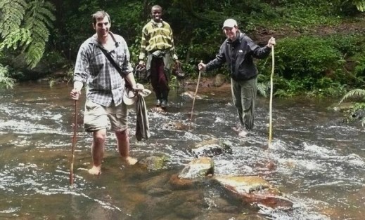 Pathway Through the Dense Jungle of Bwindi