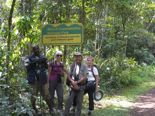 Conservationists Monitoring Gorillas in Bwindi