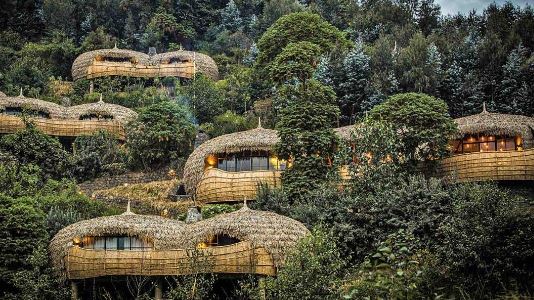 Luxury Lodge Accommodation Rwanda Gorilla Tour