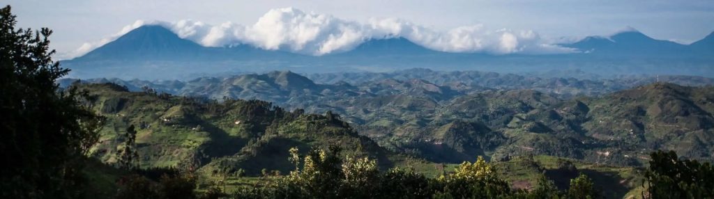 Aerial view of Bwindi Impenetrable Forest with glimpses of mountain gorillas and lush greenery in Uganda.